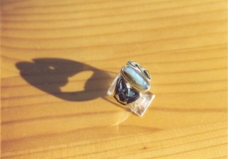 ringen (19)